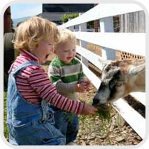 two children feeding a goat