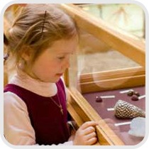 girl looking at museum display