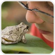 boy looking at a frog