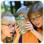 3 kids looking at bug jar