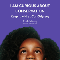Curiodyssey