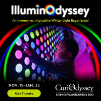 Curiodyssey